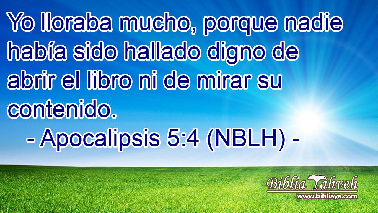  Yo lloraba mucho, porque nadie había sido hallado digno de abrir el libro ni de mirar su contenido. 