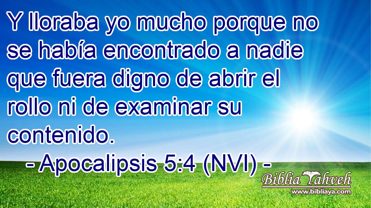  Y lloraba yo mucho porque no se había encontrado a nadie que fuera digno de abrir el rollo ni de examinar su contenido. 
