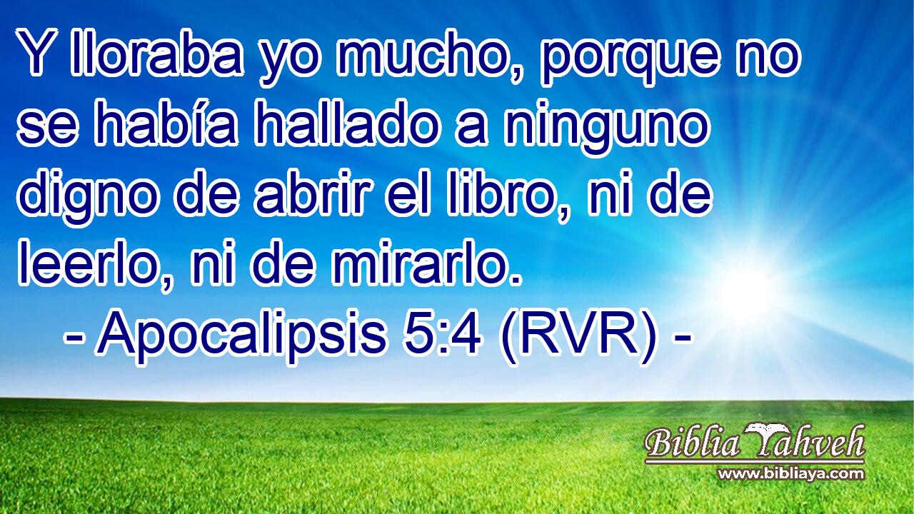 Y lloraba yo mucho, porque no se había hallado a ninguno digno de abrir el libro, ni de leerlo, ni de mirarlo.