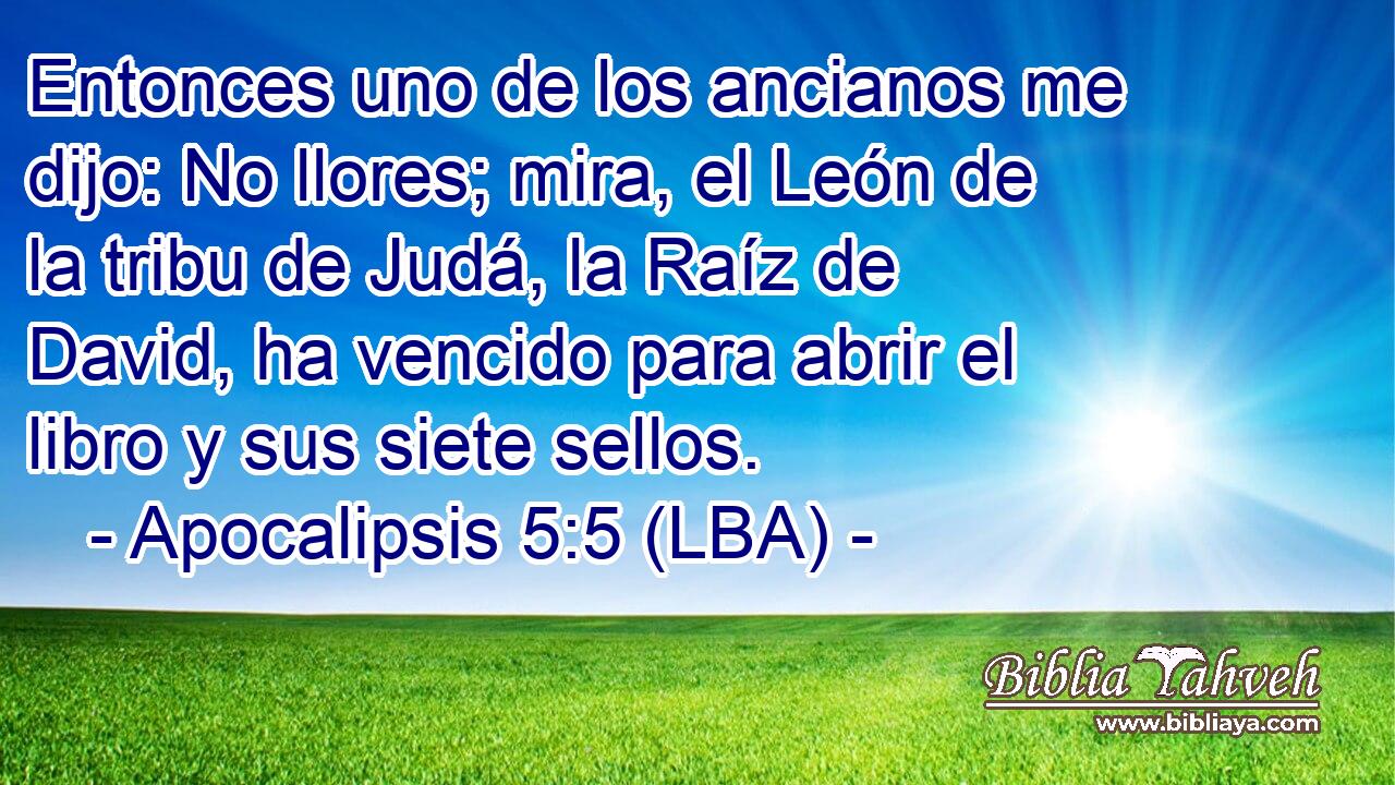 Entonces uno de los ancianos me dijo: No llores; mira, el León de la tribu de Judá, la Raíz de David, ha vencido para abrir el libro y sus siete sellos.