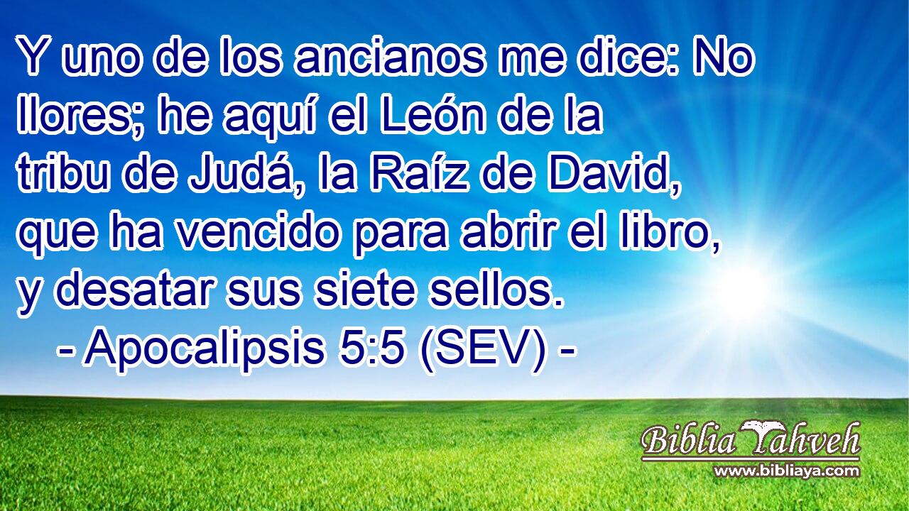 Y uno de los ancianos me dice: No llores; he aquí el León de la tribu de Judá, la Raíz de David, que ha vencido para abrir el libro, y desatar sus siete sellos.