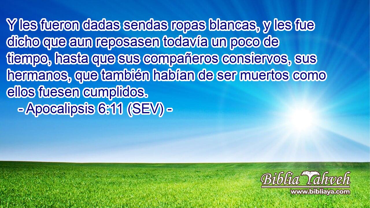 Y les fueron dadas sendas ropas blancas, y les fue dicho que aun reposasen todavía un poco de tiempo, hasta que sus compañeros consiervos, sus hermanos, que también habían de ser muertos como ellos fuesen cumplidos.