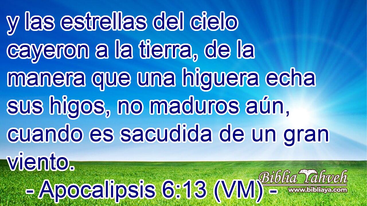  y las estrellas del cielo cayeron a la tierra, de la manera que una higuera echa sus higos, no maduros aún, cuando es sacudida de un gran viento. 