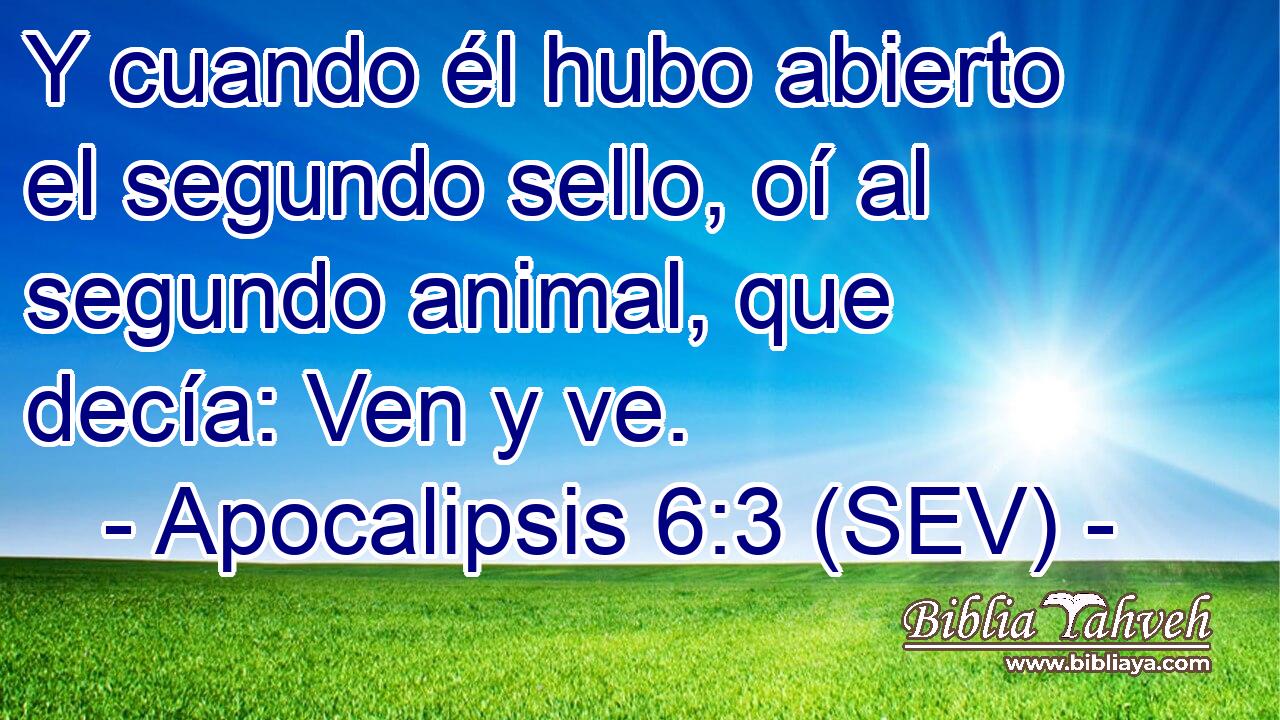 Y cuando él hubo abierto el segundo sello, oí al segundo animal, que decía: Ven y ve.