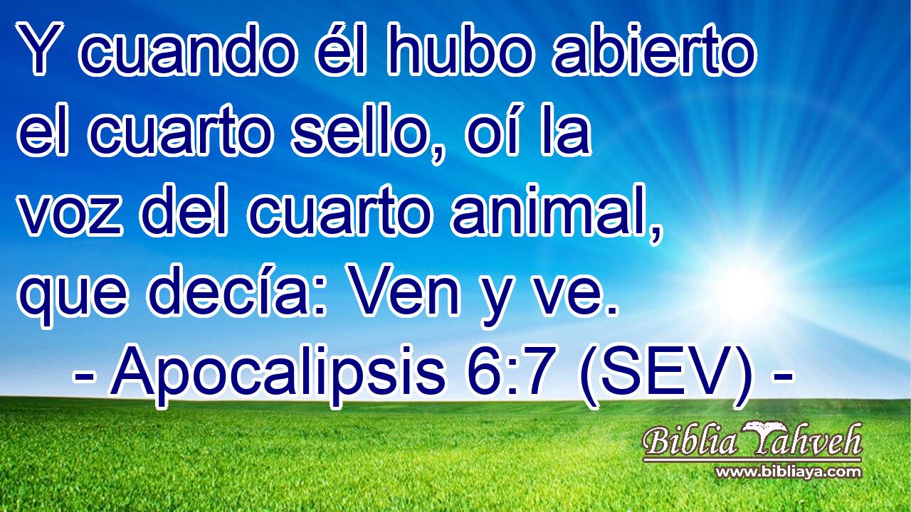 Y cuando él hubo abierto el cuarto sello, oí la voz del cuarto animal, que decía: Ven y ve.