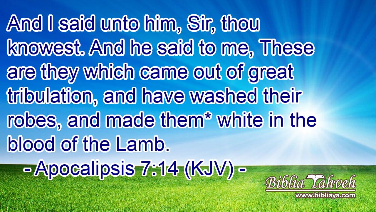 And I said unto him, Sir, thou knowest. And he said to me, These are they which came out of great tribulation, and have washed their robes, and made them* white in the blood of the Lamb.