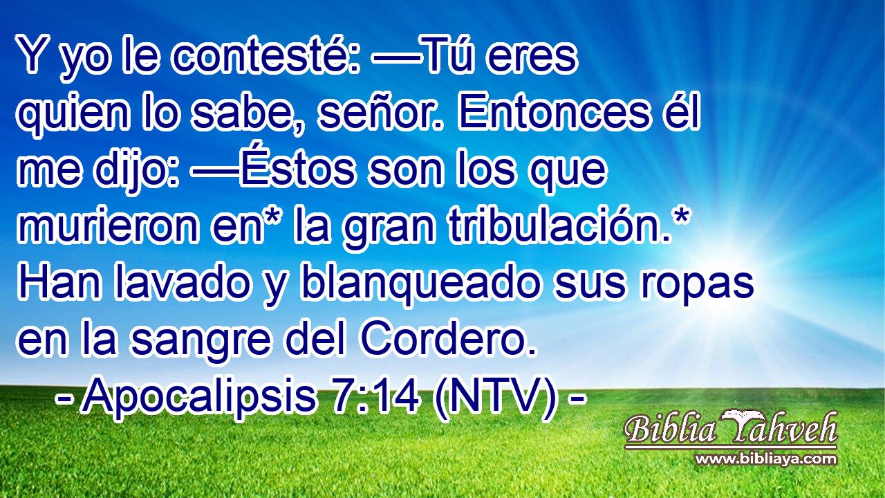 Y yo le contesté: —Tú eres quien lo sabe, señor. Entonces él me dijo: —Éstos son los que murieron en* la gran tribulación.* Han lavado y blanqueado sus ropas en la sangre del Cordero.