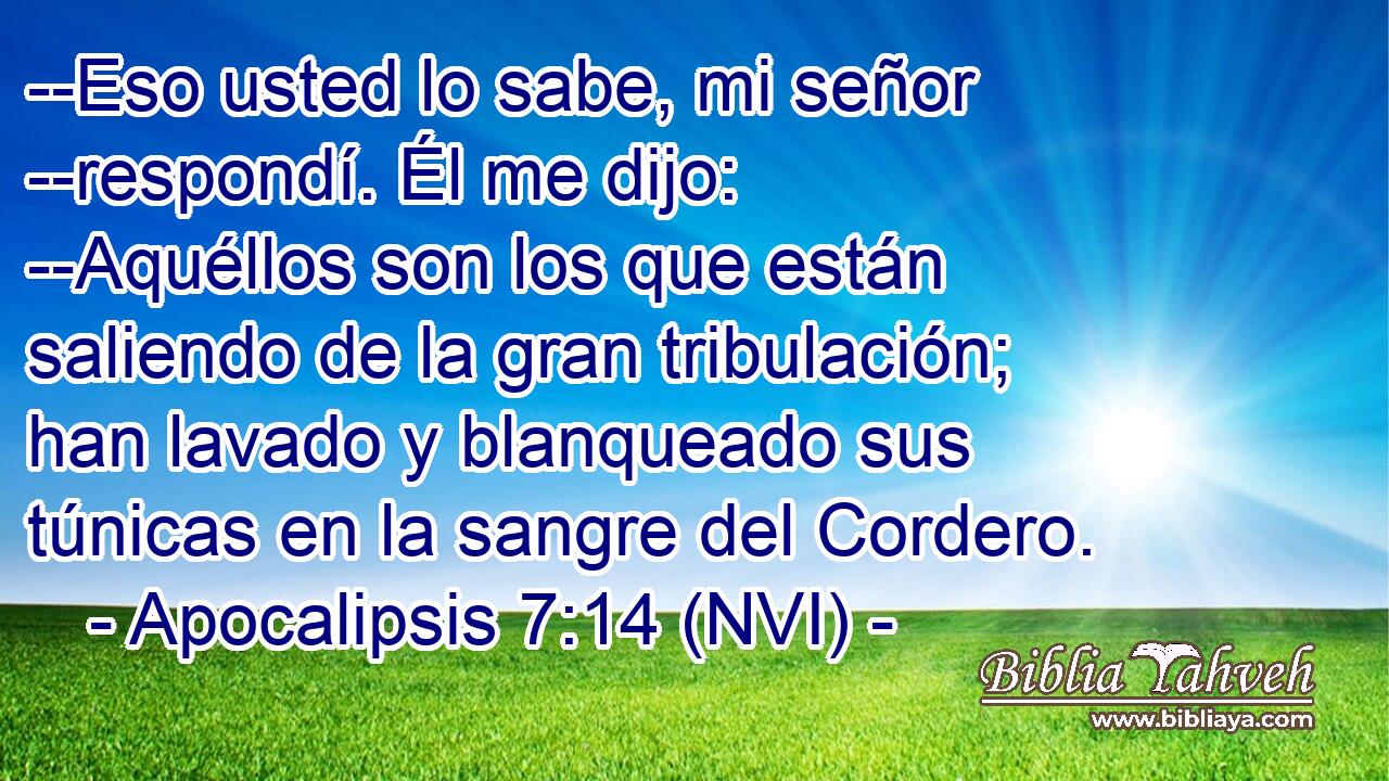  --Eso usted lo sabe, mi señor --respondí. Él me dijo: --Aquéllos son los que están saliendo de la gran tribulación; han lavado y blanqueado sus túnicas en la sangre del Cordero. 