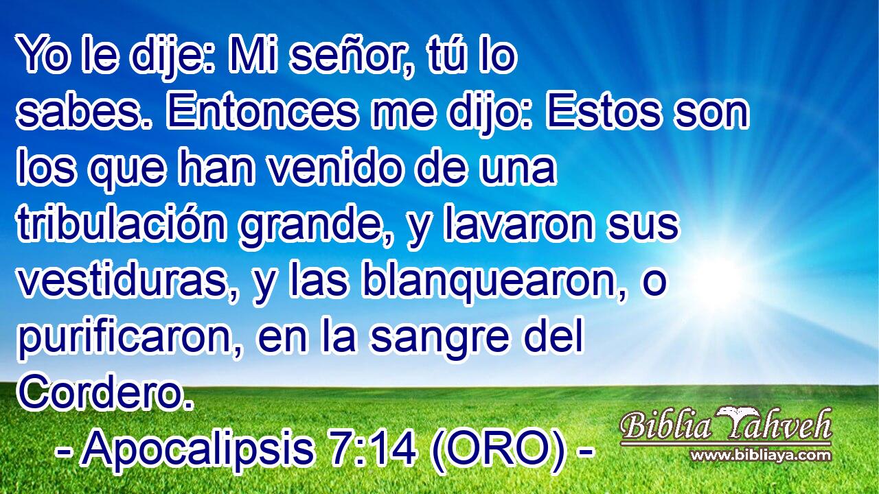  Yo le dije: Mi señor, tú lo sabes. Entonces me dijo: Estos son los que han venido de una tribulación grande, y lavaron sus vestiduras, y las blanquearon, o purificaron, en la sangre del Cordero. 