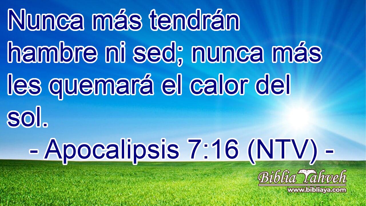 Nunca más tendrán hambre ni sed; nunca más les quemará el calor del sol.