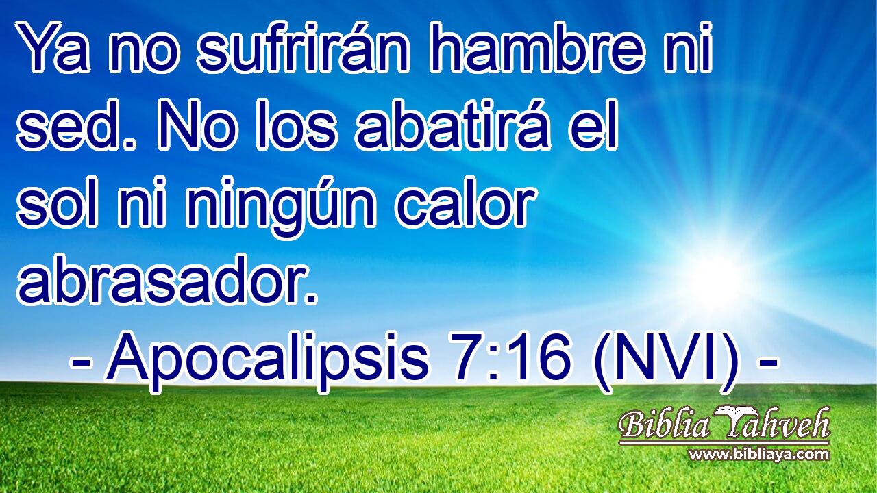  Ya no sufrirán hambre ni sed. No los abatirá el sol ni ningún calor abrasador. 