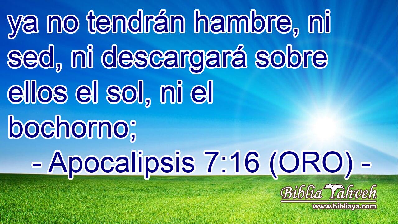  ya no tendrán hambre, ni sed, ni descargará sobre ellos el sol, ni el bochorno; 