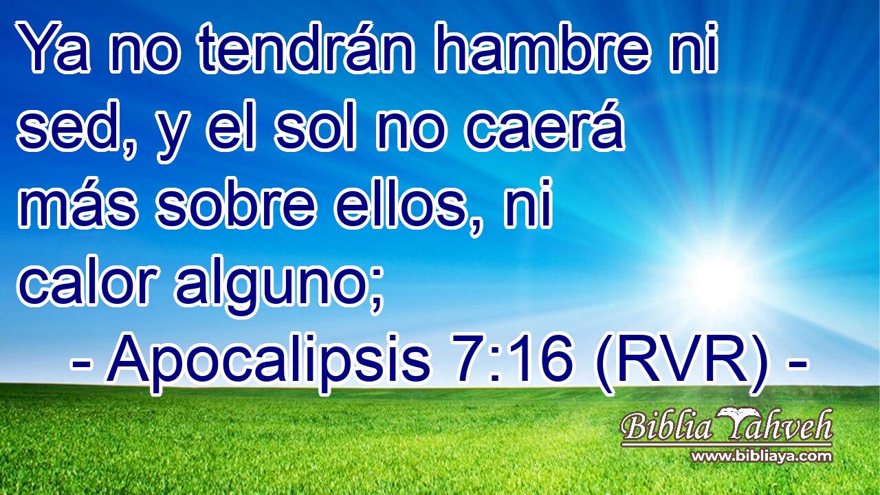 Ya no tendrán hambre ni sed, y el sol no caerá más sobre ellos, ni calor alguno;