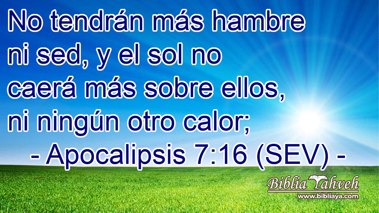 No tendrán más hambre ni sed, y el sol no caerá más sobre ellos, ni ningún otro calor;