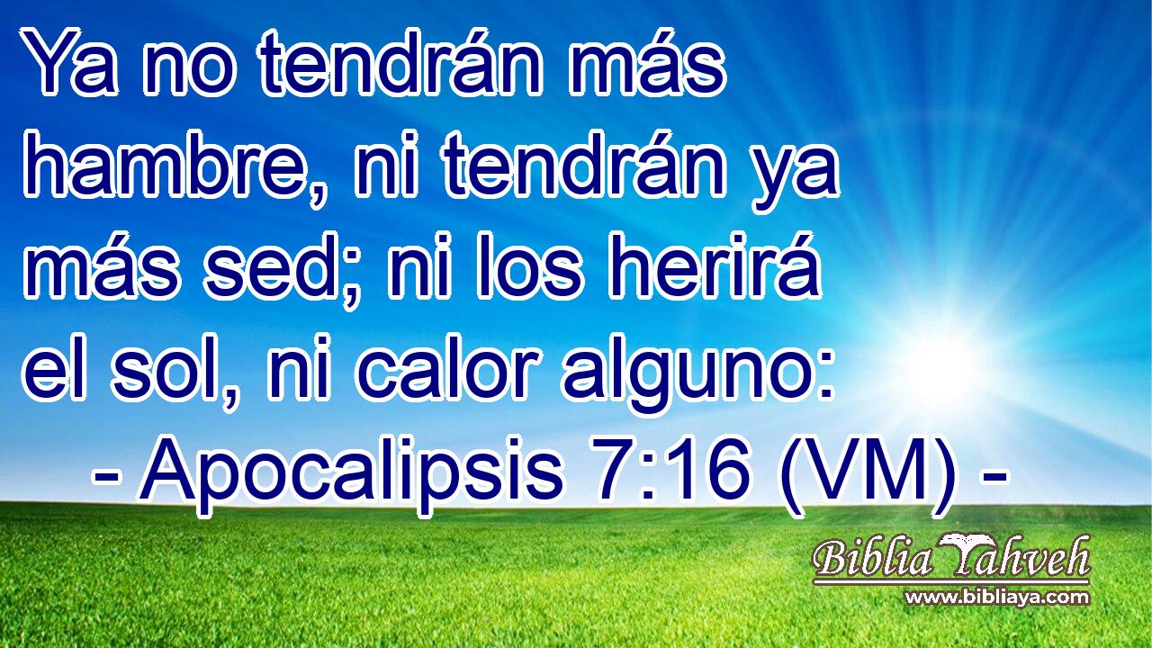  Ya no tendrán más hambre, ni tendrán ya más sed; ni los herirá el sol, ni calor alguno: 