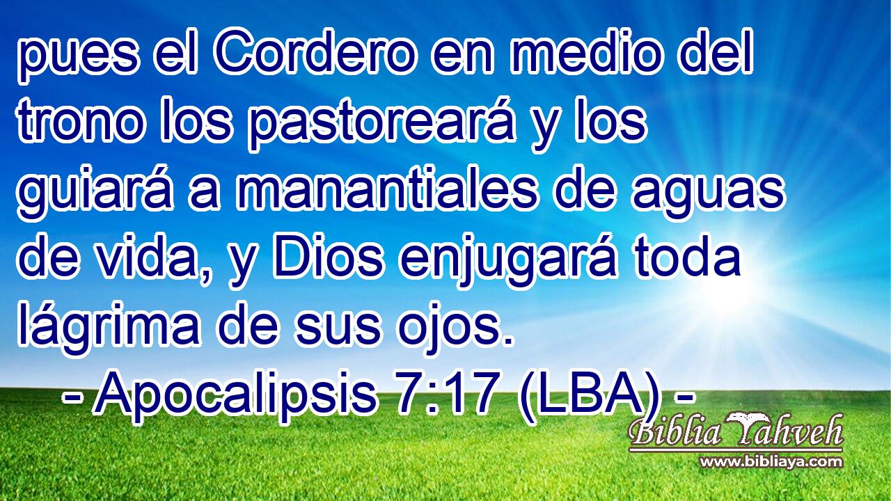 pues el Cordero en medio del trono los pastoreará y los guiará a manantiales de aguas de vida, y Dios enjugará toda lágrima de sus ojos.