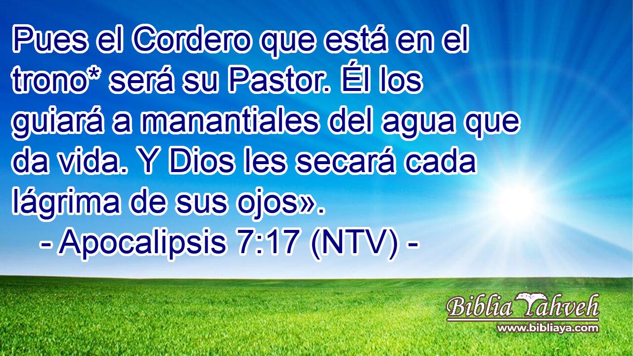 Pues el Cordero que está en el trono* será su Pastor. Él los guiará a manantiales del agua que da vida. Y Dios les secará cada lágrima de sus ojos».