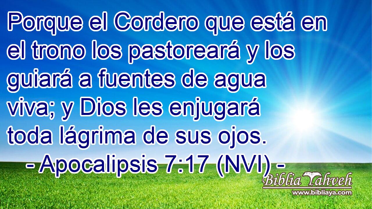  Porque el Cordero que está en el trono los pastoreará y los guiará a fuentes de agua viva; y Dios les enjugará toda lágrima de sus ojos. 