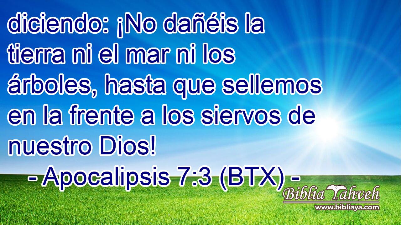 diciendo: ¡No dañéis la tierra ni el mar ni los árboles, hasta que sellemos en la frente a los siervos de nuestro Dios!