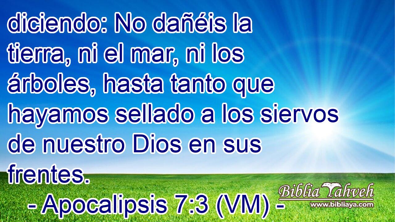  diciendo: No dañéis la tierra, ni el mar, ni los árboles, hasta tanto que hayamos sellado a los siervos de nuestro Dios en sus frentes. 