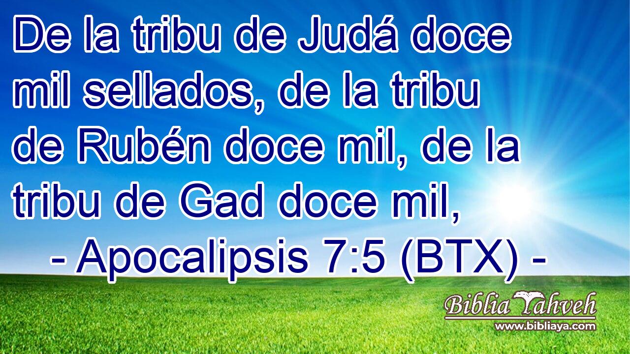 De la tribu de Judá doce mil sellados, de la tribu de Rubén doce mil, de la tribu de Gad doce mil,