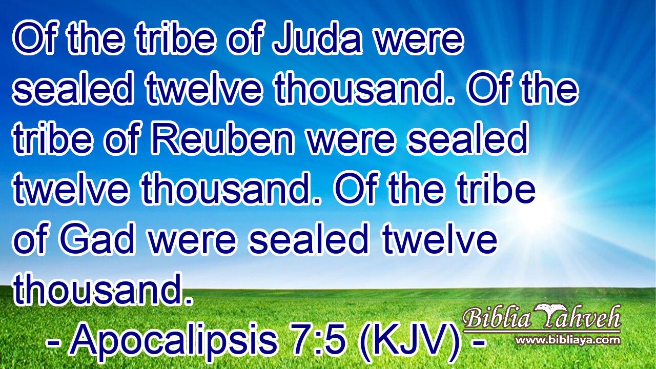 Of the tribe of Juda were sealed twelve thousand. Of the tribe of Reuben were sealed twelve thousand. Of the tribe of Gad were sealed twelve thousand.