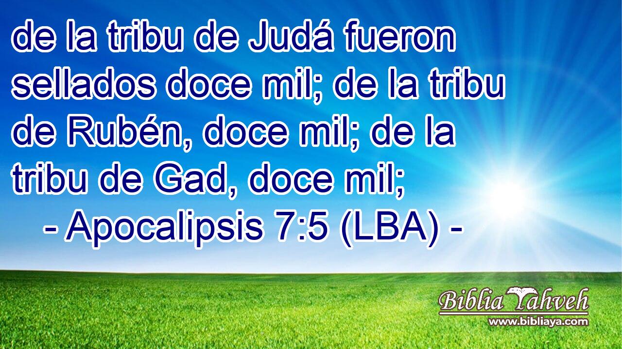 de la tribu de Judá fueron sellados doce mil; de la tribu de Rubén, doce mil; de la tribu de Gad, doce mil;