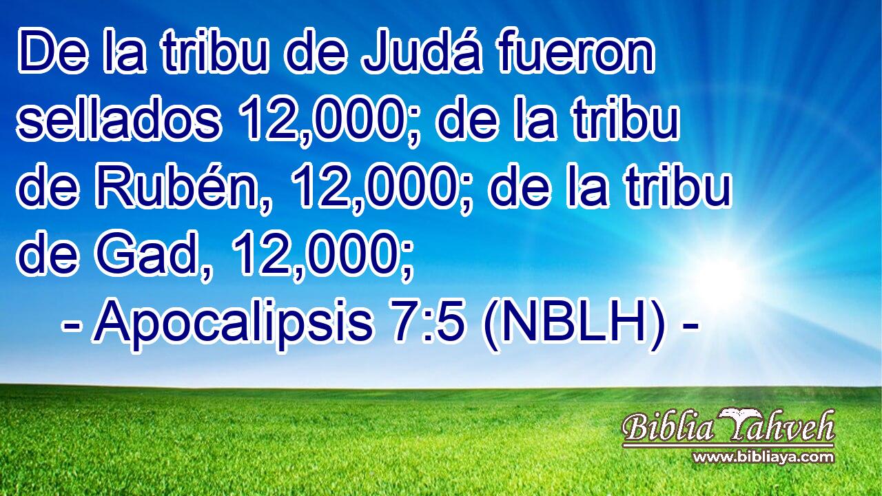  De la tribu de Judá fueron sellados 12,000; de la tribu de Rubén, 12,000; de la tribu de Gad, 12,000; 