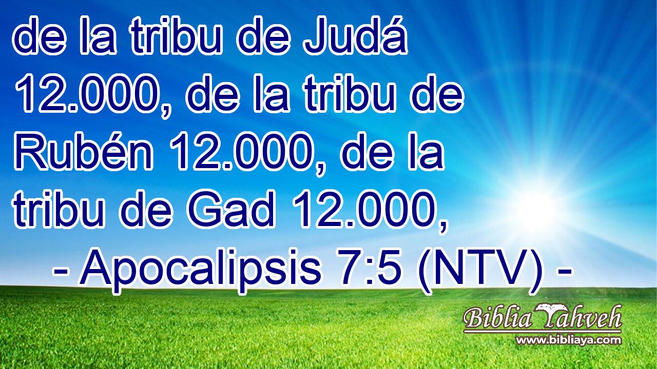 de la tribu de Judá 12.000, de la tribu de Rubén 12.000, de la tribu de Gad 12.000,