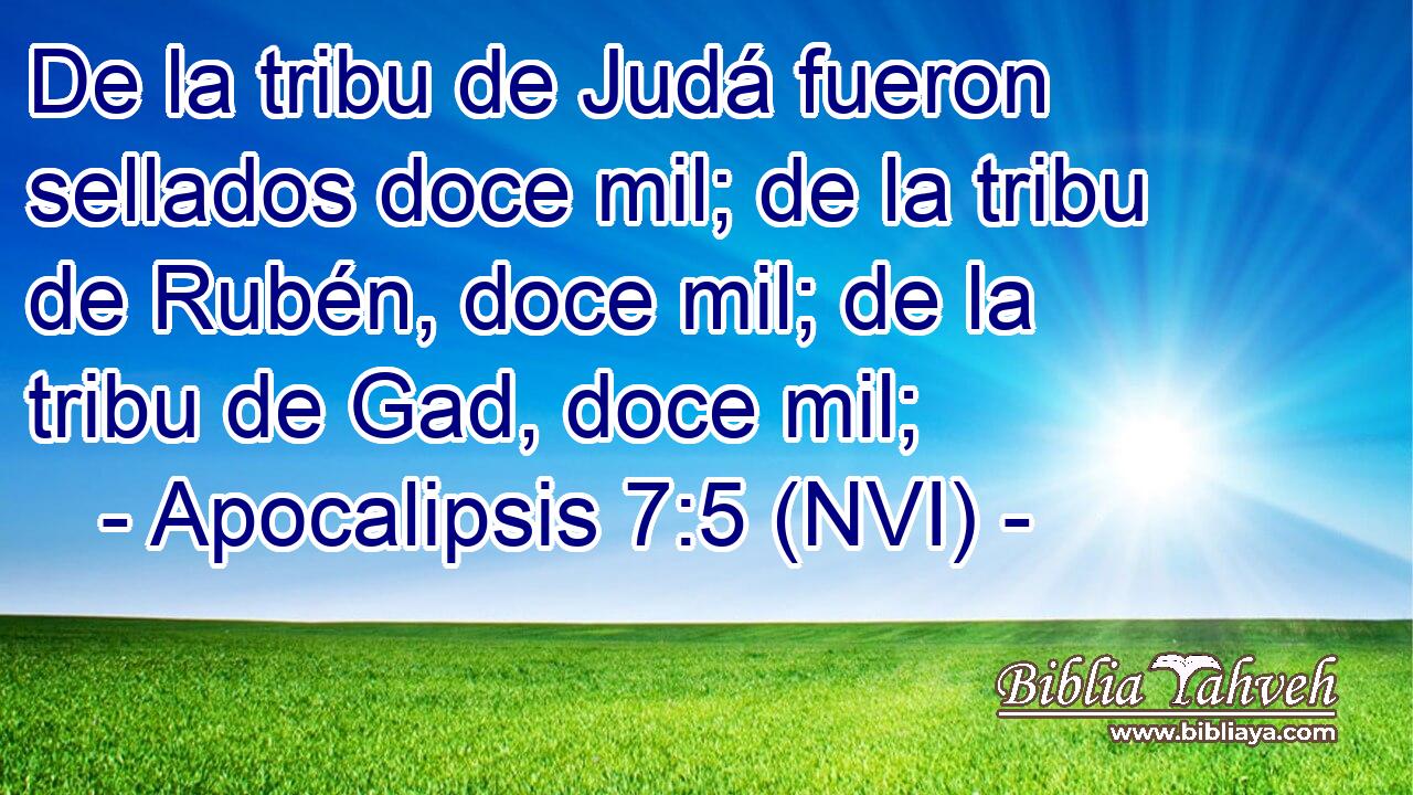  De la tribu de Judá fueron sellados doce mil; de la tribu de Rubén, doce mil; de la tribu de Gad, doce mil; 