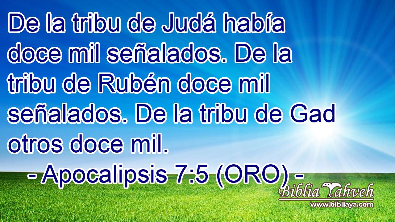  De la tribu de Judá había doce mil señalados. De la tribu de Rubén doce mil señalados. De la tribu de Gad otros doce mil. 