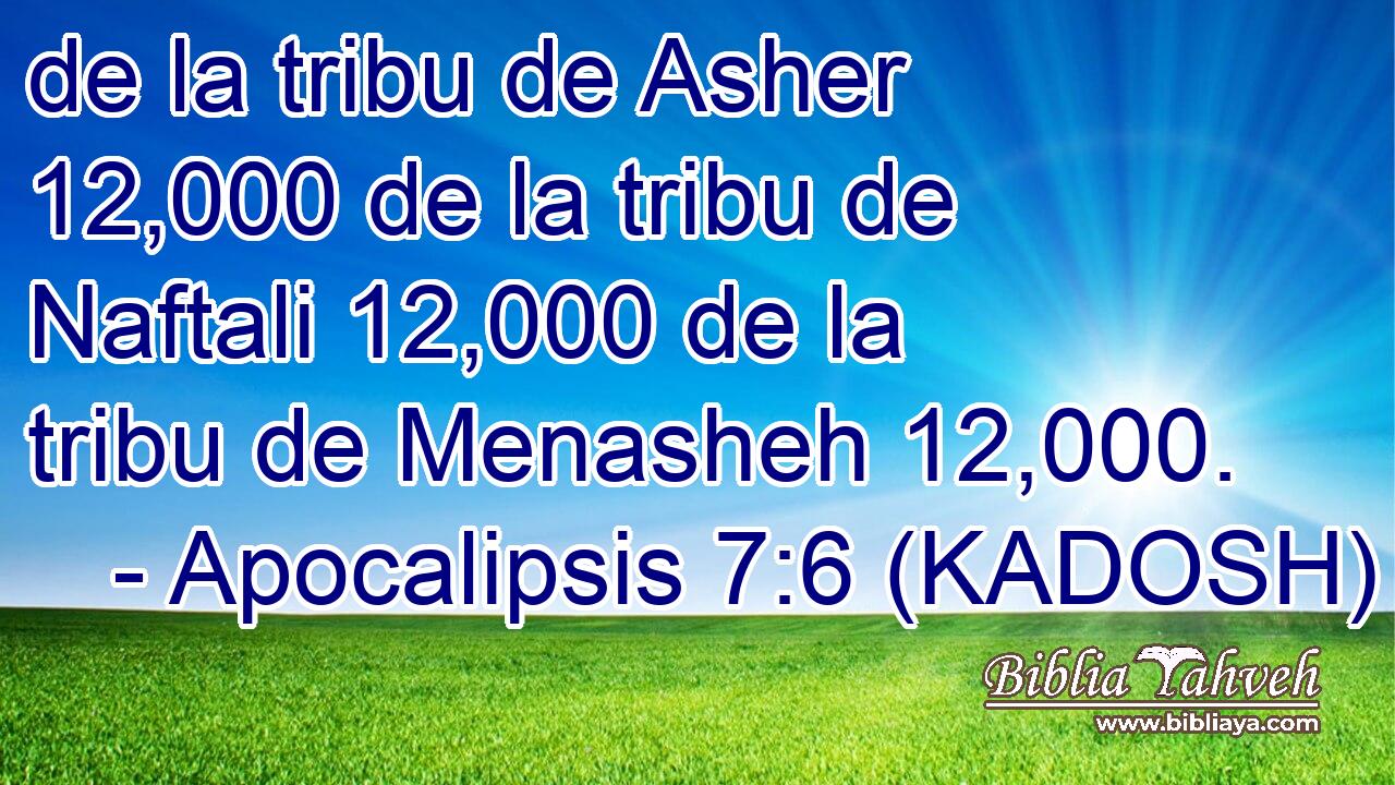  de la tribu de Asher 12,000 de la tribu de Naftali 12,000 de la tribu de Menasheh 12,000. 
