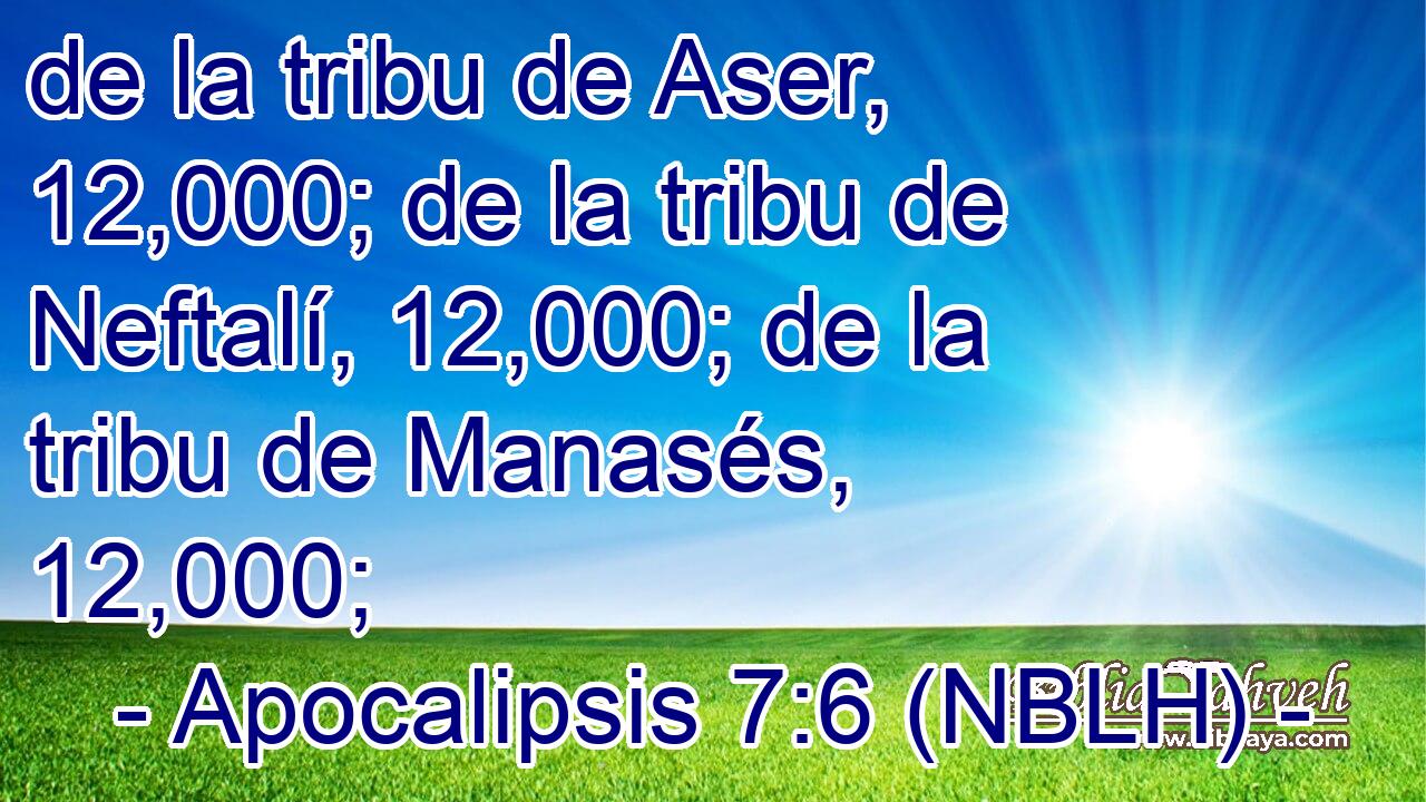  de la tribu de Aser, 12,000; de la tribu de Neftalí, 12,000; de la tribu de Manasés, 12,000; 