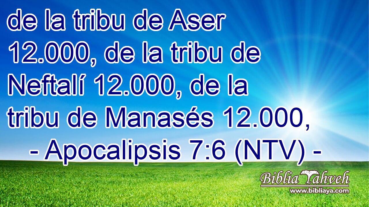 de la tribu de Aser 12.000, de la tribu de Neftalí 12.000, de la tribu de Manasés 12.000,