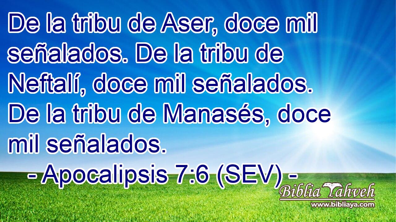 De la tribu de Aser, doce mil señalados. De la tribu de Neftalí, doce mil señalados. De la tribu de Manasés, doce mil señalados.