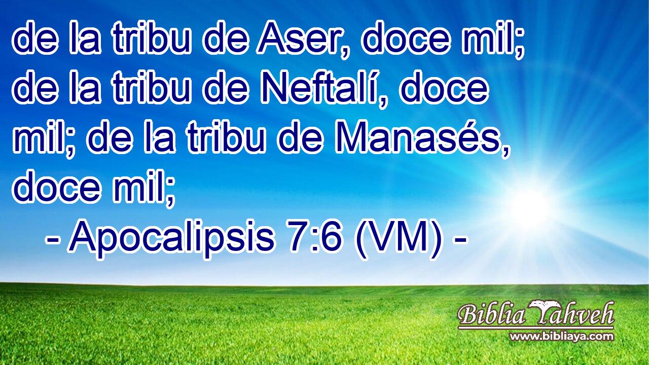  de la tribu de Aser, doce mil; de la tribu de Neftalí, doce mil; de la tribu de Manasés, doce mil; 