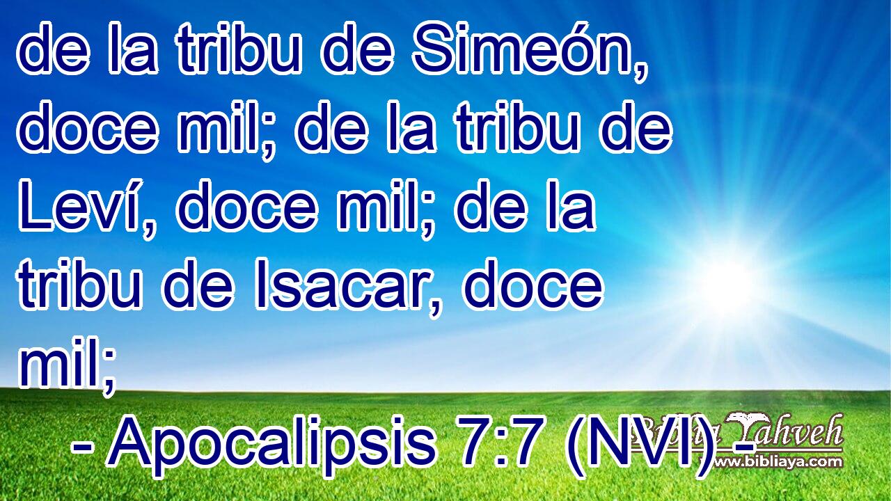  de la tribu de Simeón, doce mil; de la tribu de Leví, doce mil; de la tribu de Isacar, doce mil; 