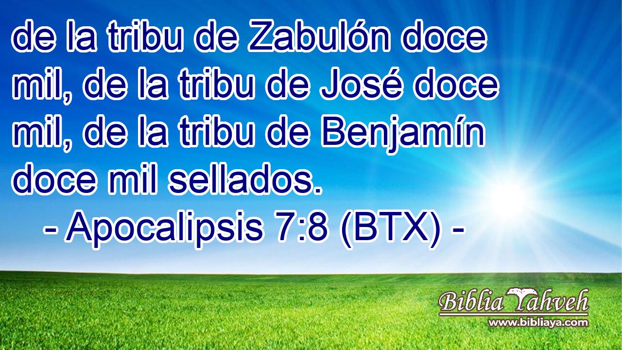 de la tribu de Zabulón doce mil, de la tribu de José doce mil, de la tribu de Benjamín doce mil sellados.