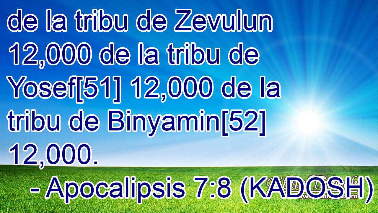  de la tribu de Zevulun 12,000 de la tribu de Yosef[51] 12,000 de la tribu de Binyamin[52] 12,000. 