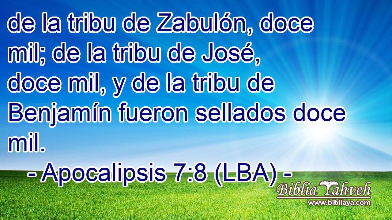 de la tribu de Zabulón, doce mil; de la tribu de José, doce mil, y de la tribu de Benjamín fueron sellados doce mil.