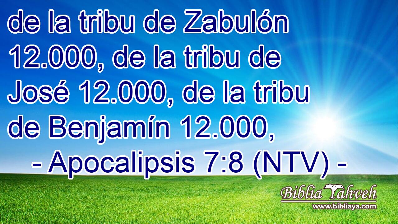 de la tribu de Zabulón 12.000, de la tribu de José 12.000, de la tribu de Benjamín 12.000,