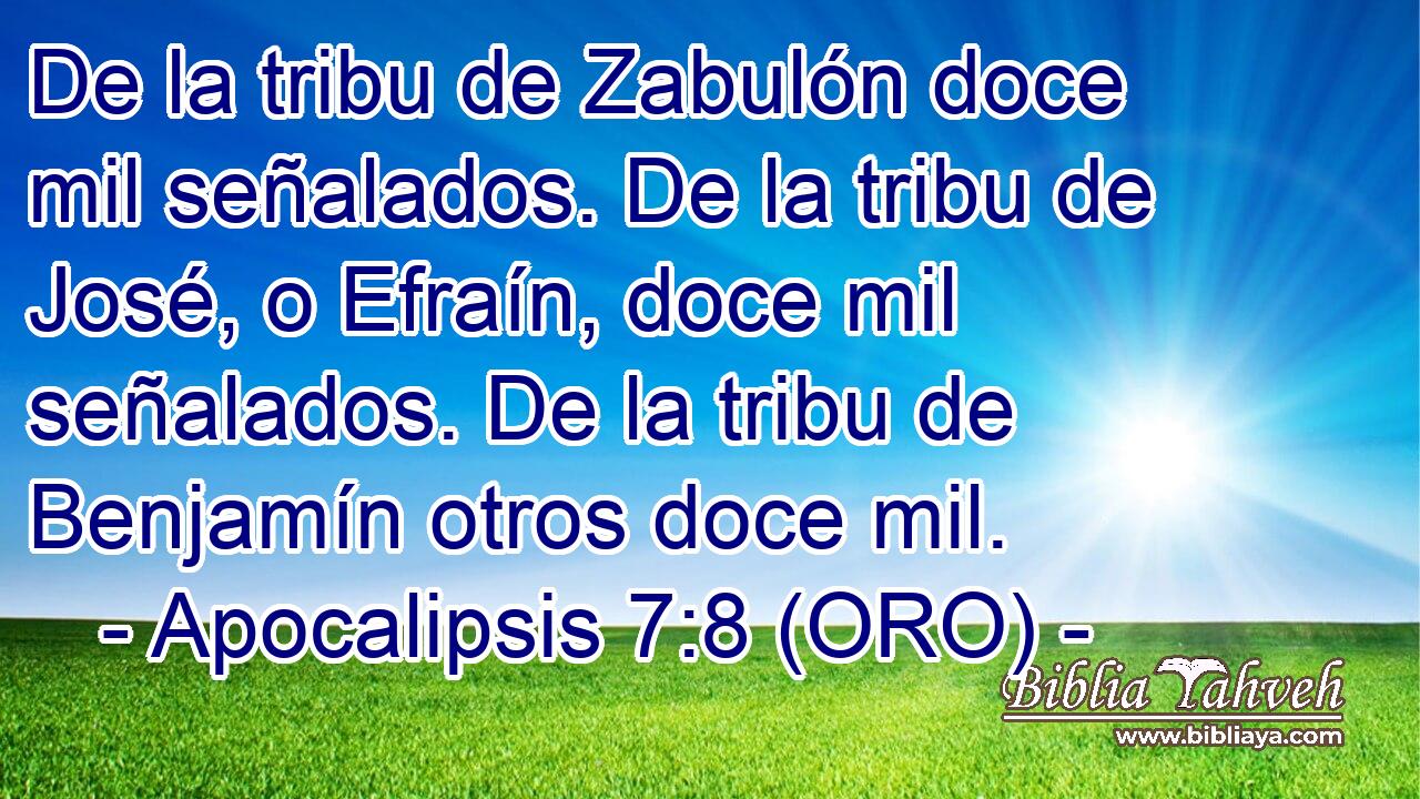  De la tribu de Zabulón doce mil señalados. De la tribu de José, o Efraín, doce mil señalados. De la tribu de Benjamín otros doce mil. 