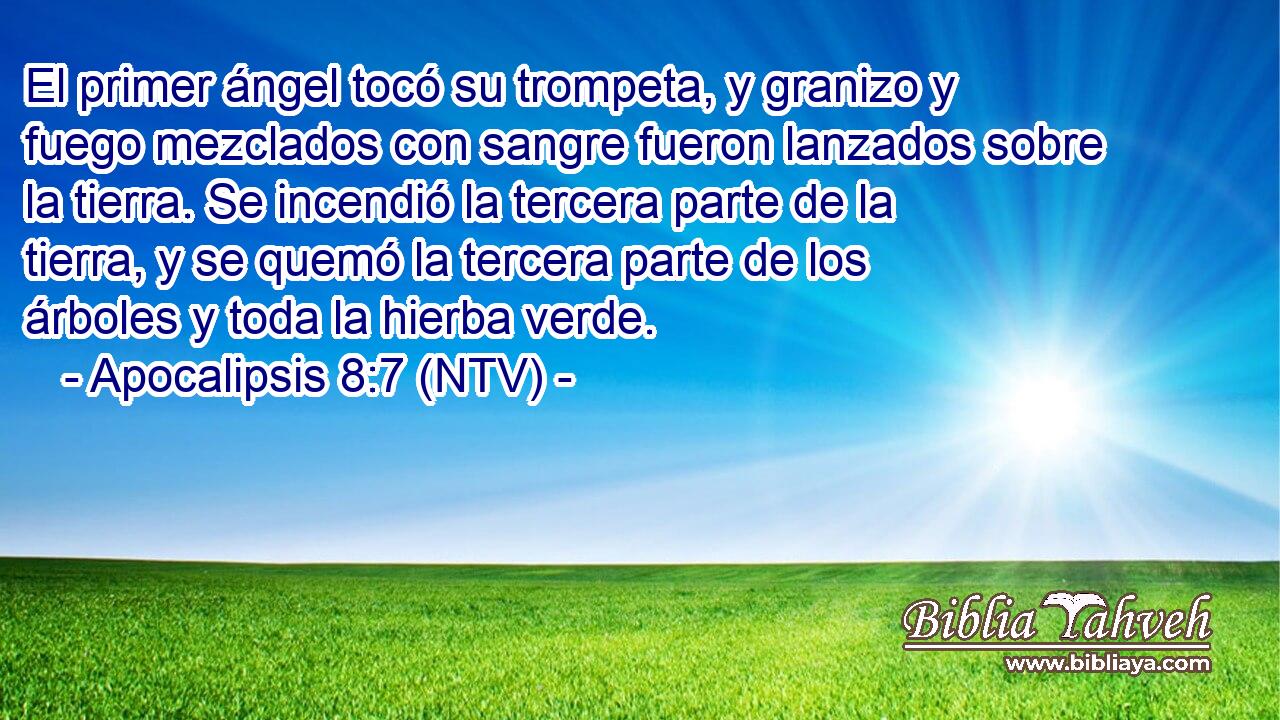 El primer ángel tocó su trompeta, y granizo y fuego mezclados con sangre fueron lanzados sobre la tierra. Se incendió la tercera parte de la tierra, y se quemó la tercera parte de los árboles y toda la hierba verde.