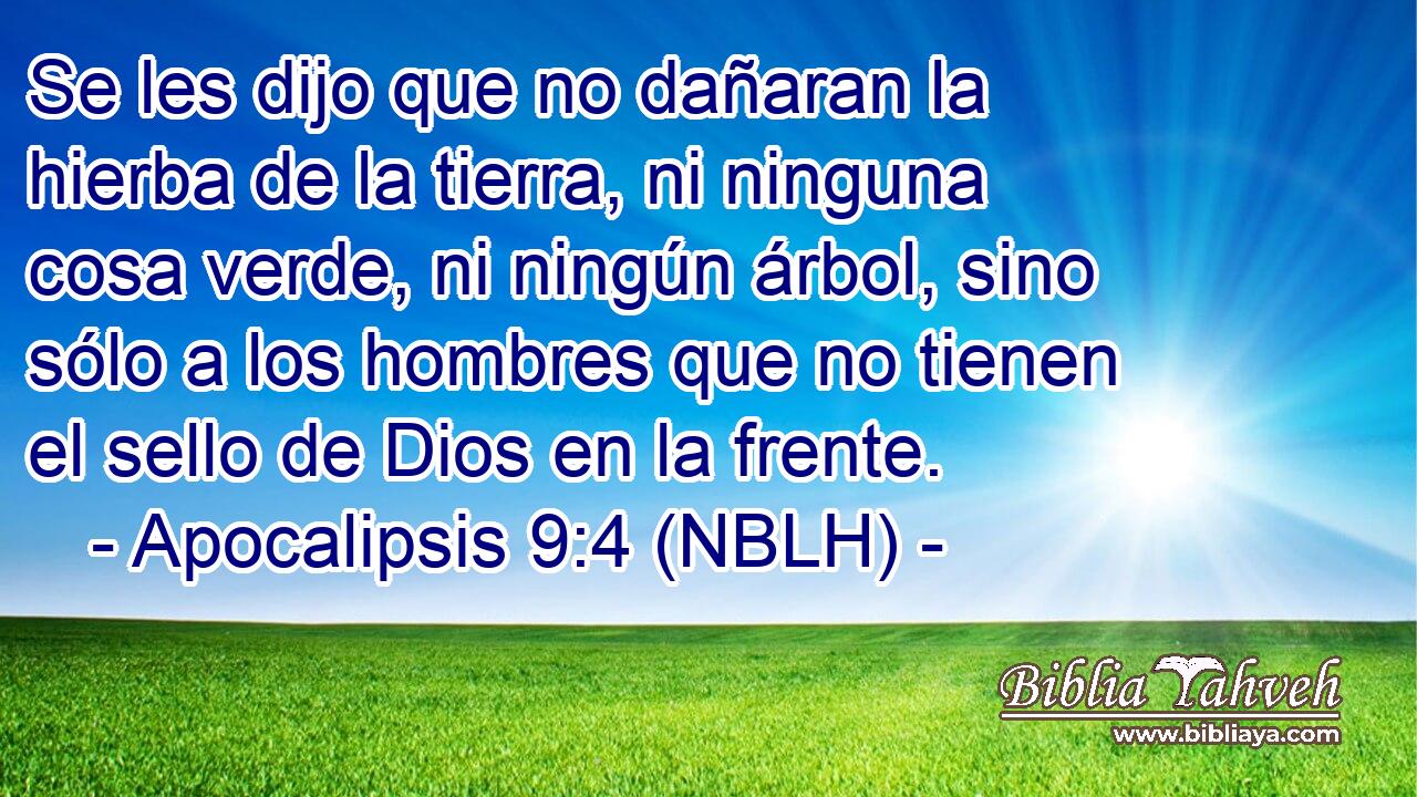  Se les dijo que no dañaran la hierba de la tierra, ni ninguna cosa verde, ni ningún árbol, sino sólo a los hombres que no tienen el sello de Dios en la frente. 