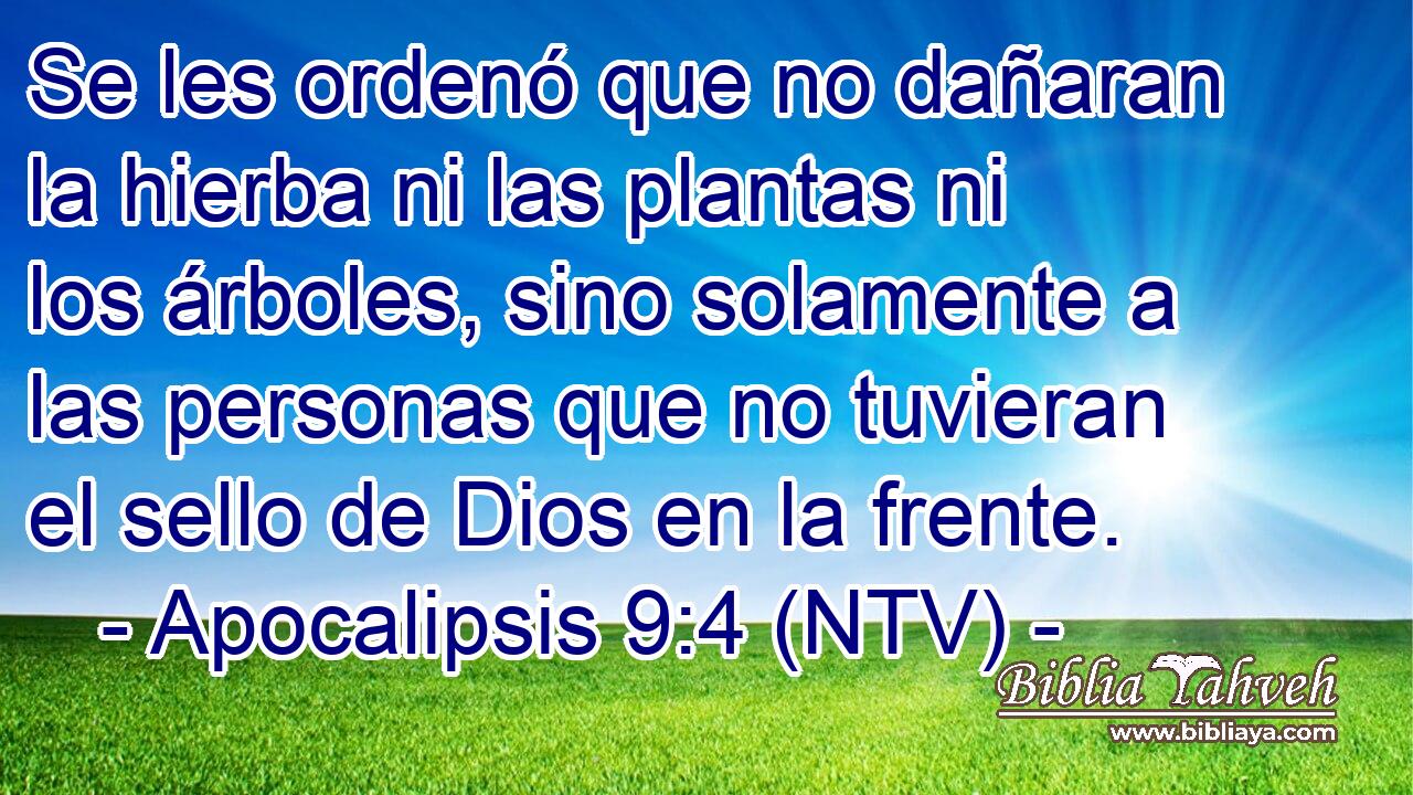 Se les ordenó que no dañaran la hierba ni las plantas ni los árboles, sino solamente a las personas que no tuvieran el sello de Dios en la frente.