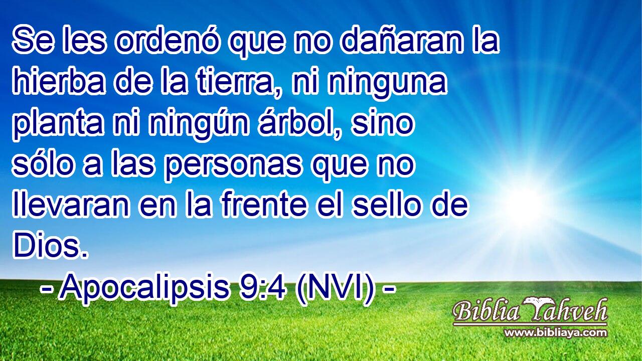  Se les ordenó que no dañaran la hierba de la tierra, ni ninguna planta ni ningún árbol, sino sólo a las personas que no llevaran en la frente el sello de Dios. 