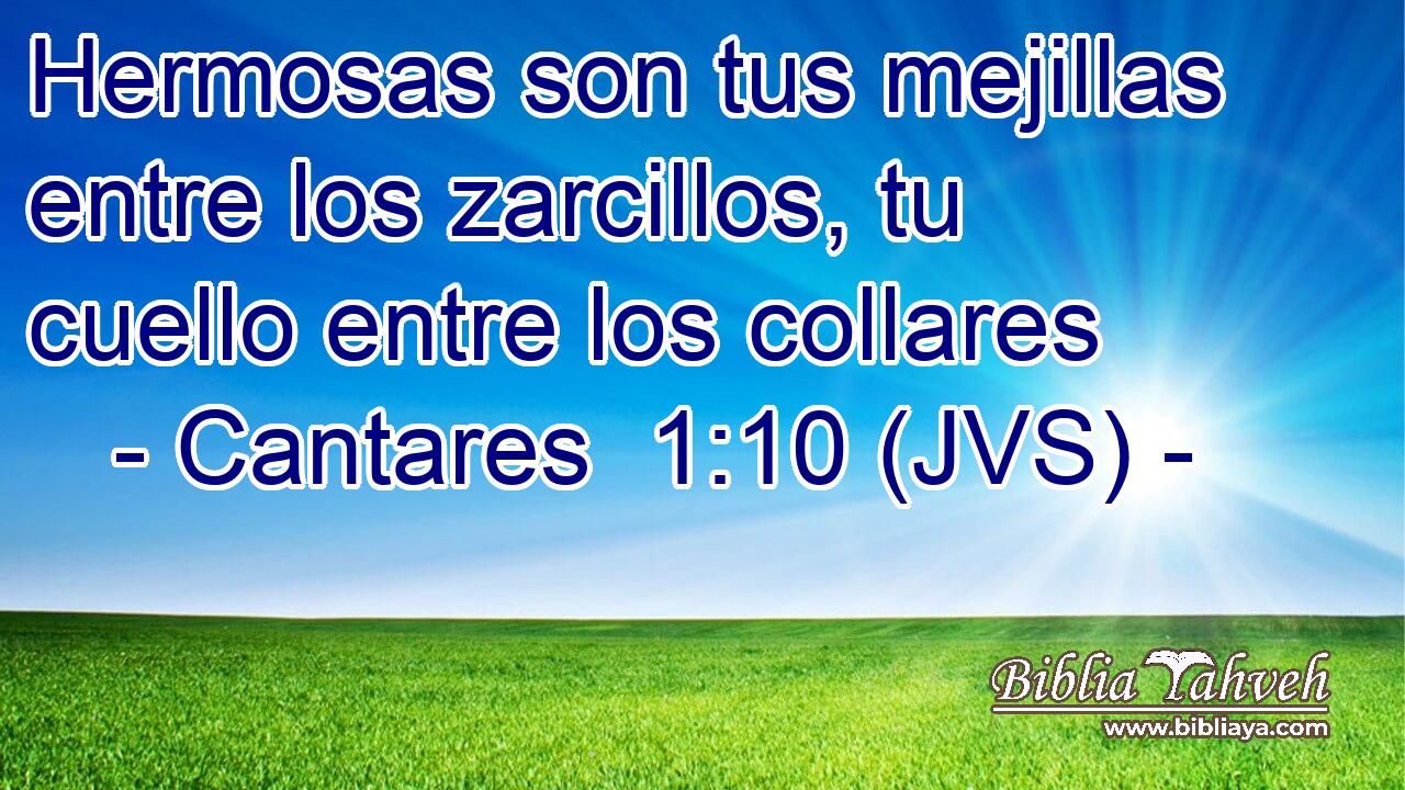 Hermosas son tus mejillas entre los zarcillos, tu cuello entre los collares