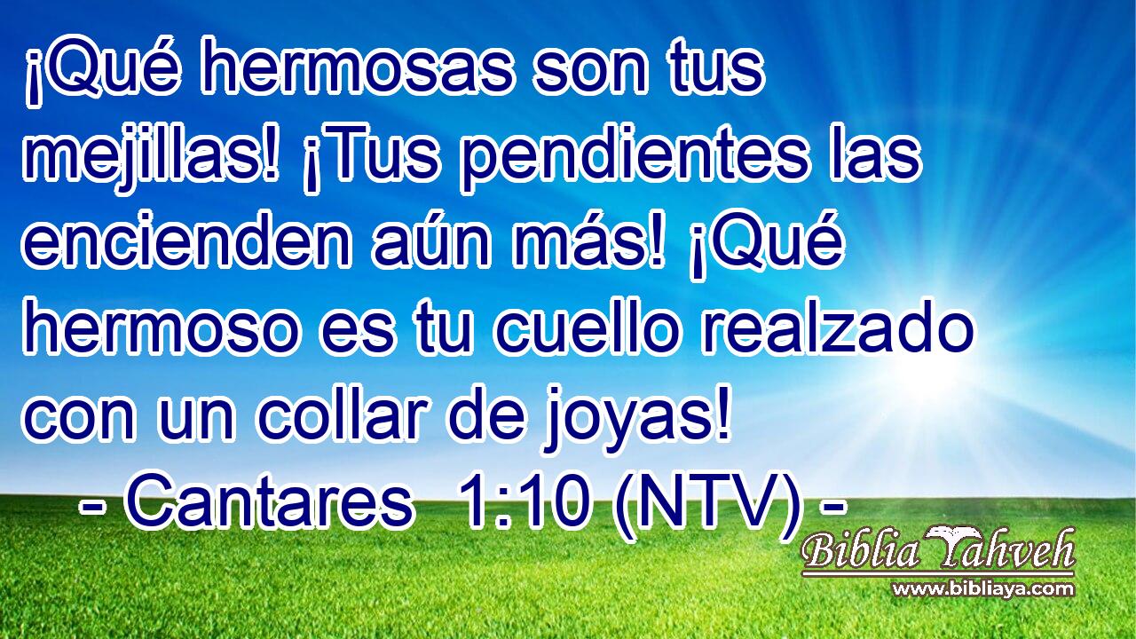¡Qué hermosas son tus mejillas! ¡Tus pendientes las encienden aún más! ¡Qué hermoso es tu cuello realzado con un collar de joyas!