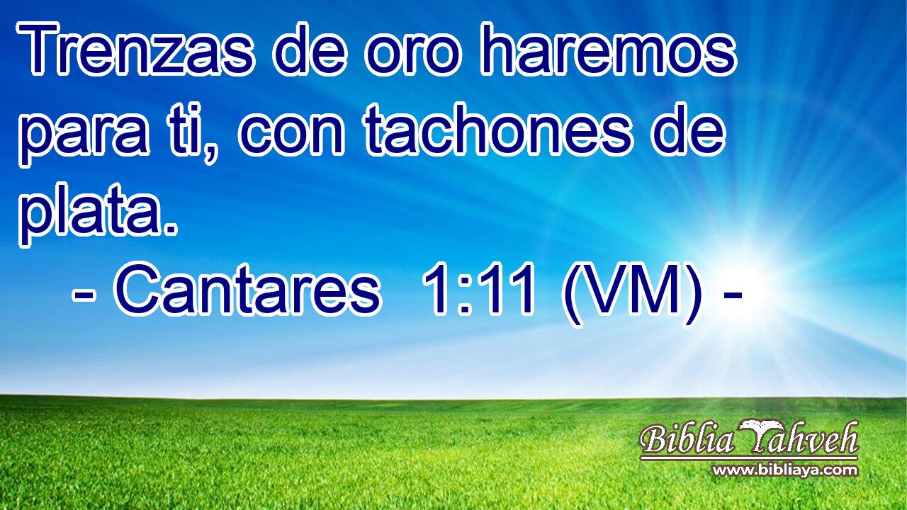  Trenzas de oro haremos para ti, con tachones de plata. 