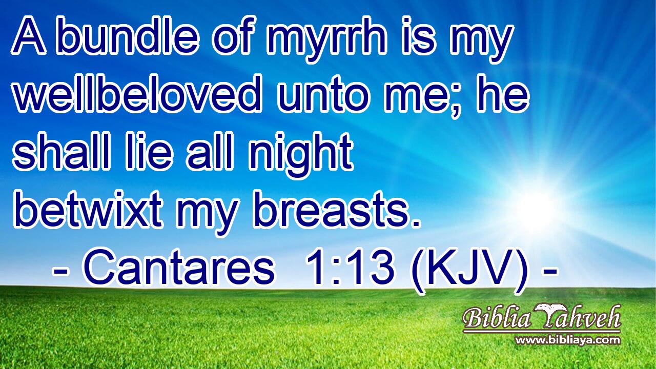 A bundle of myrrh is my wellbeloved unto me; he shall lie all night betwixt my breasts.